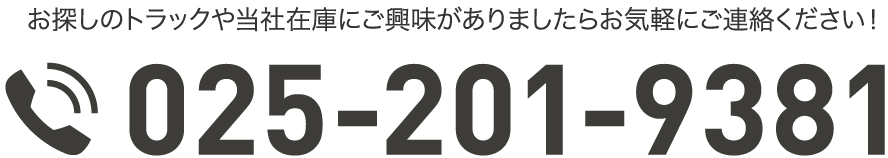 025-201-9381