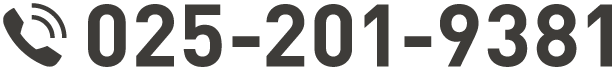 025-201-9381